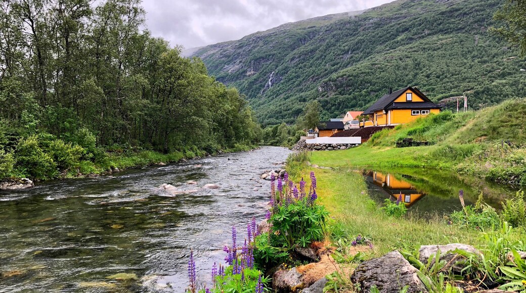The Røldal skicenter in the Hordadal valley is famous for receiving the most snowfall of any populated area in Norway.
#Roldal #Norway #ski #Nature