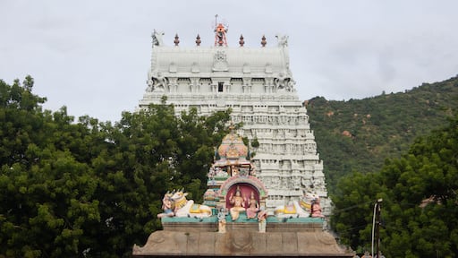 Temple tower of Arunachalesvara Temple, is a Hindu temple dedicated to Lord Shiva