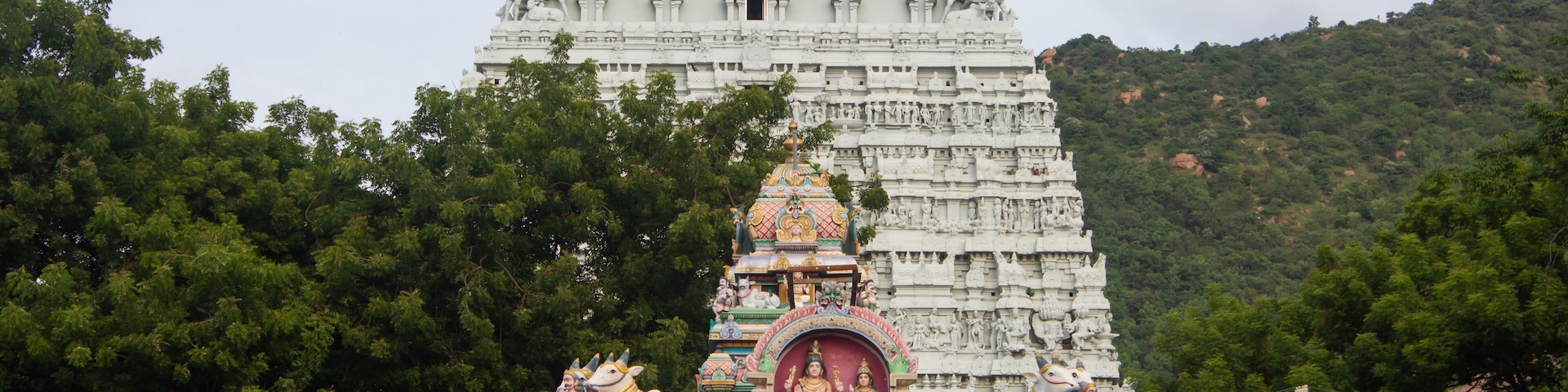 Temple tower of Arunachalesvara Temple, is a Hindu temple dedicated to Lord Shiva