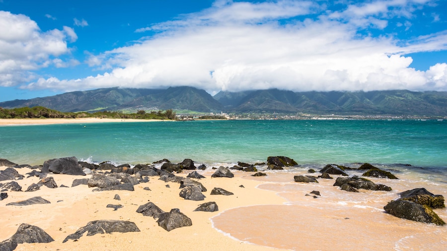 Parque Kanaha Beach