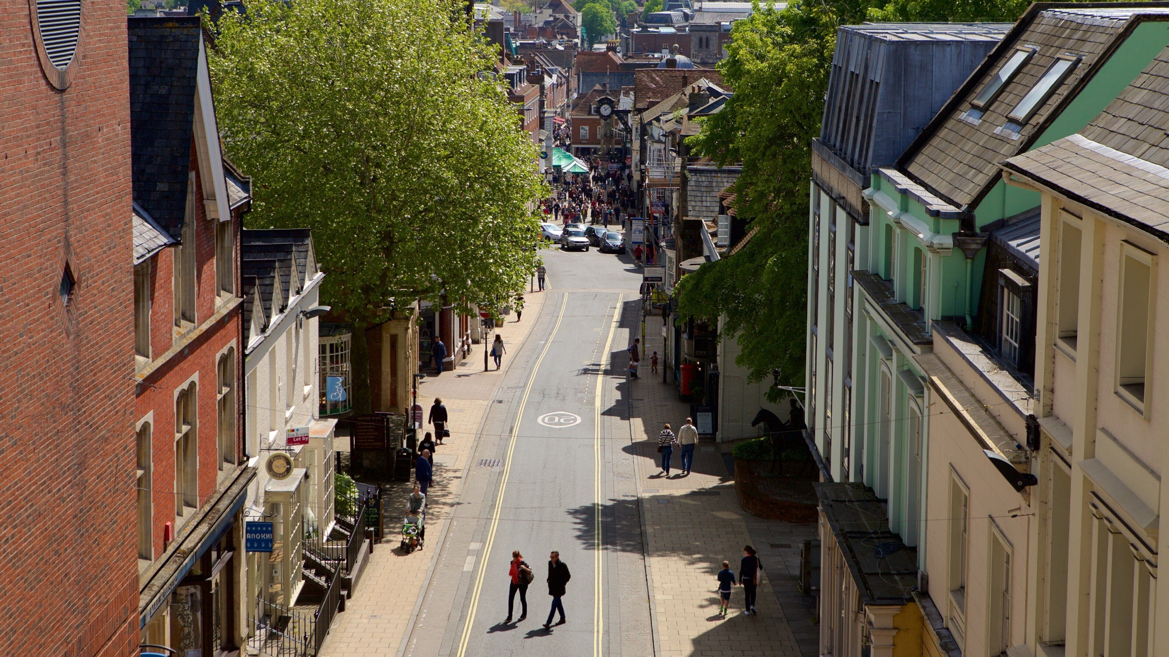 Westgate Museum showing a small town or village and street scenes