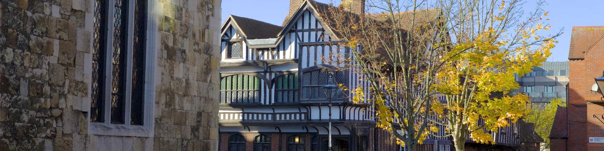 Tudor House and Garden showing a square or plaza and a house