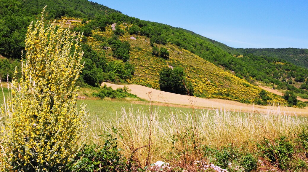 Lovely panorama along the Dourbie river near Nant