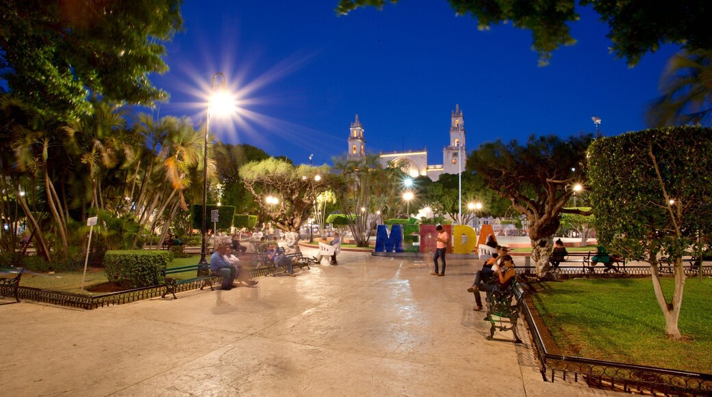 Merida Cathedral featuring a garden and night scenes as well as a small group of people