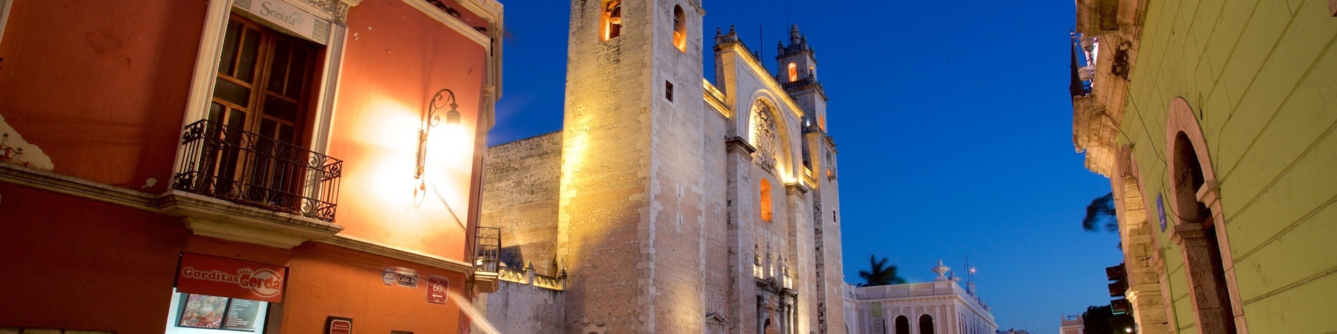 Merida Cathedral which includes heritage architecture and night scenes