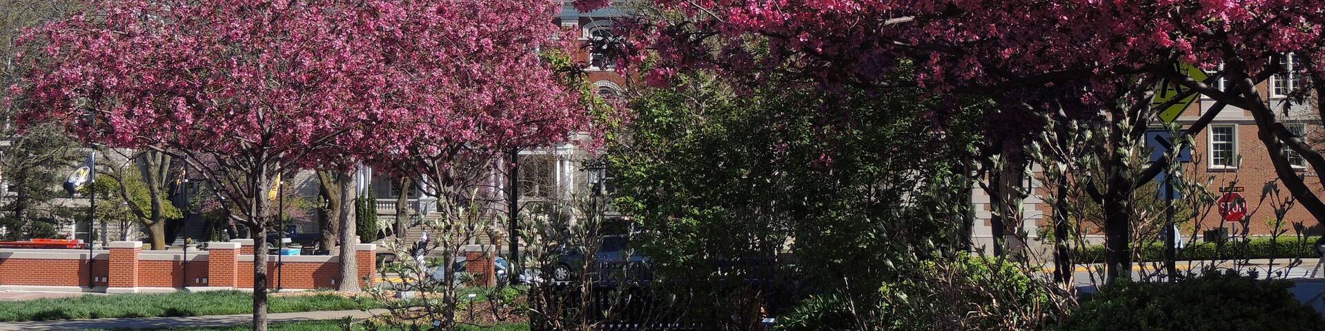 springtime at Jesse hall on the university of missouri campus, columbia, missouri ; Shutterstock ID 405100327