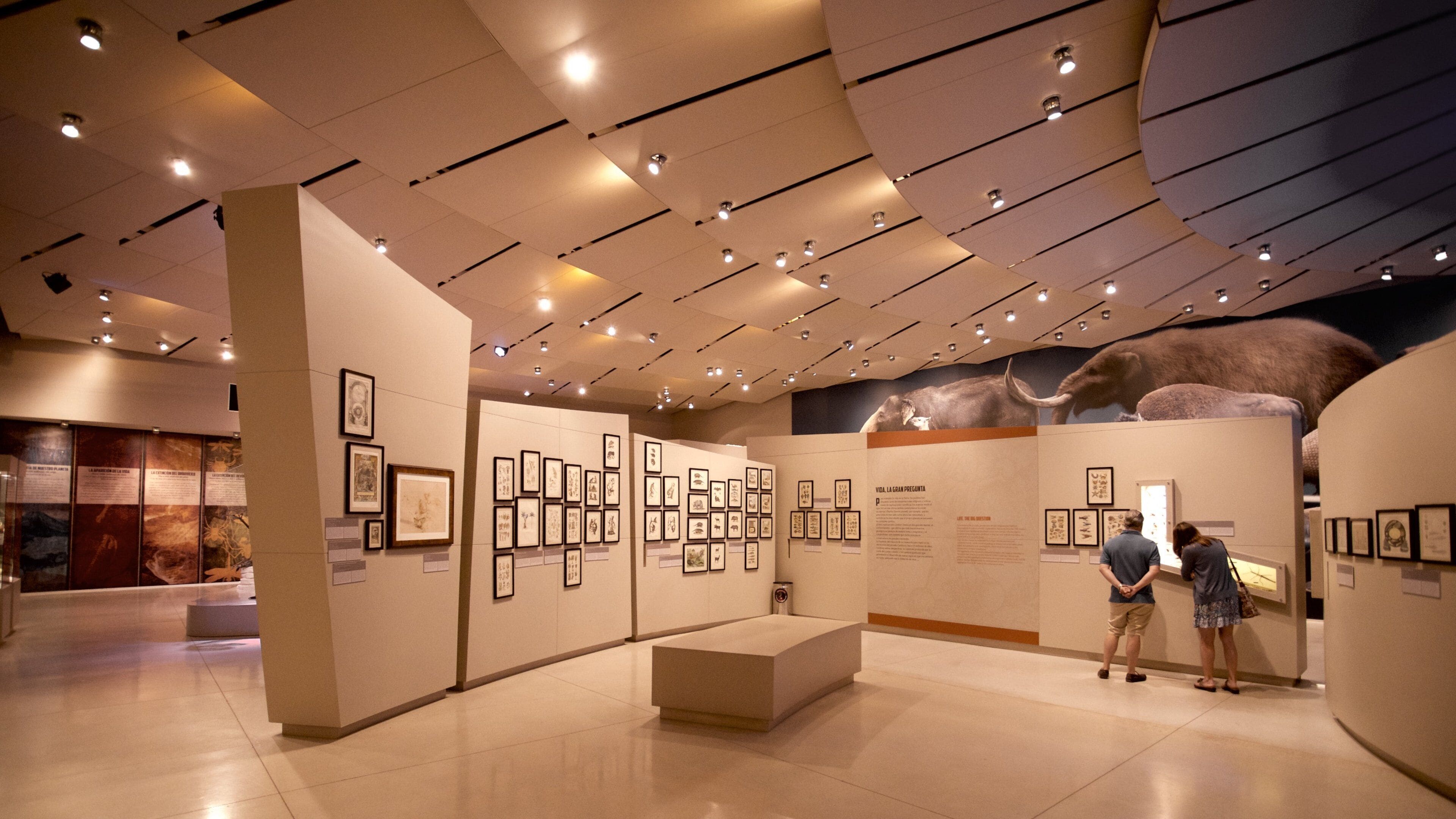 Great Museum of the Maya World which includes interior views as well as a couple