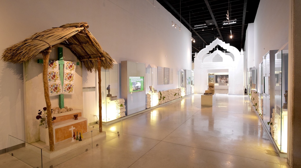 Great Museum of the Maya World showing interior views