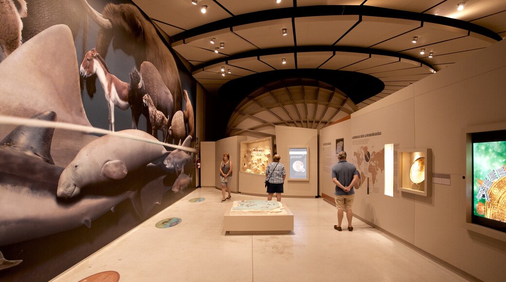 Great Museum of the Maya World which includes interior views as well as a small group of people