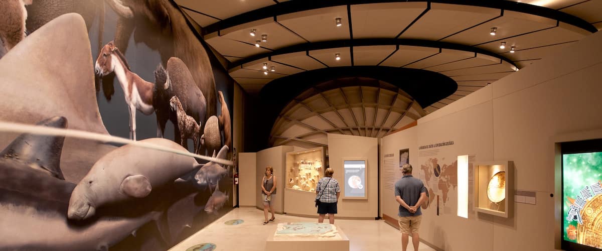 Gran Museo del Mundo Maya que incluye vistas interiores y también un pequeño grupo de personas