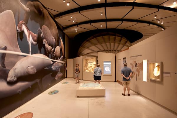 Grand musée du monde maya mettant en vedette vues intérieures aussi bien que petit groupe de personnes