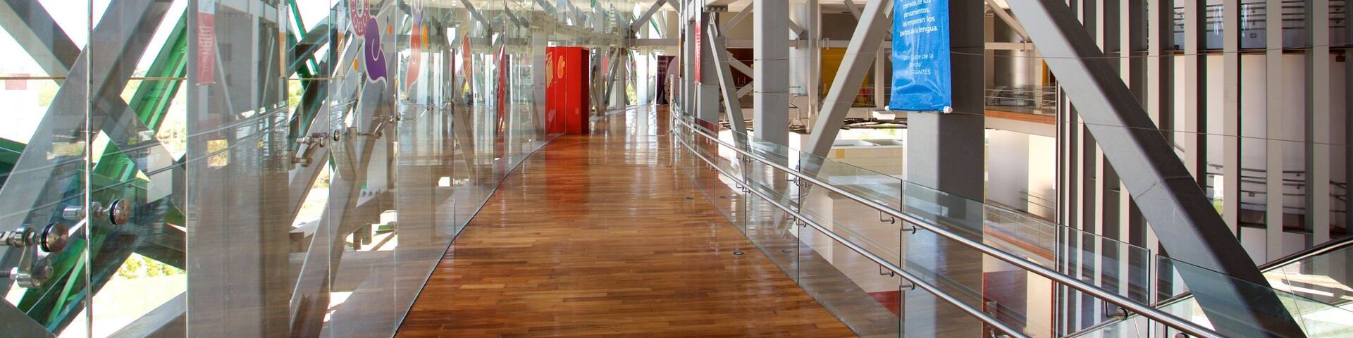 Great Museum of the Maya World featuring interior views