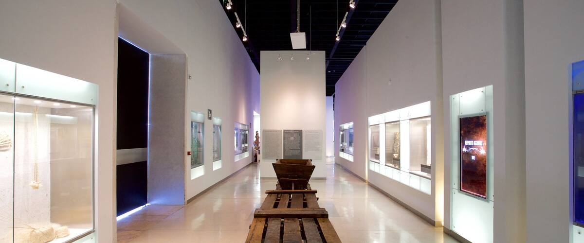 Gran Museo del Mundo Maya mostrando vistas interiores