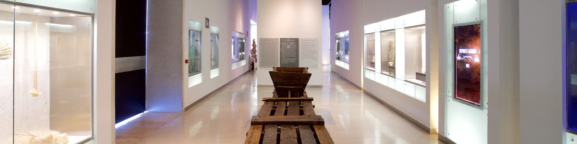 Gran Museo del Mundo Maya ofreciendo vistas de interior