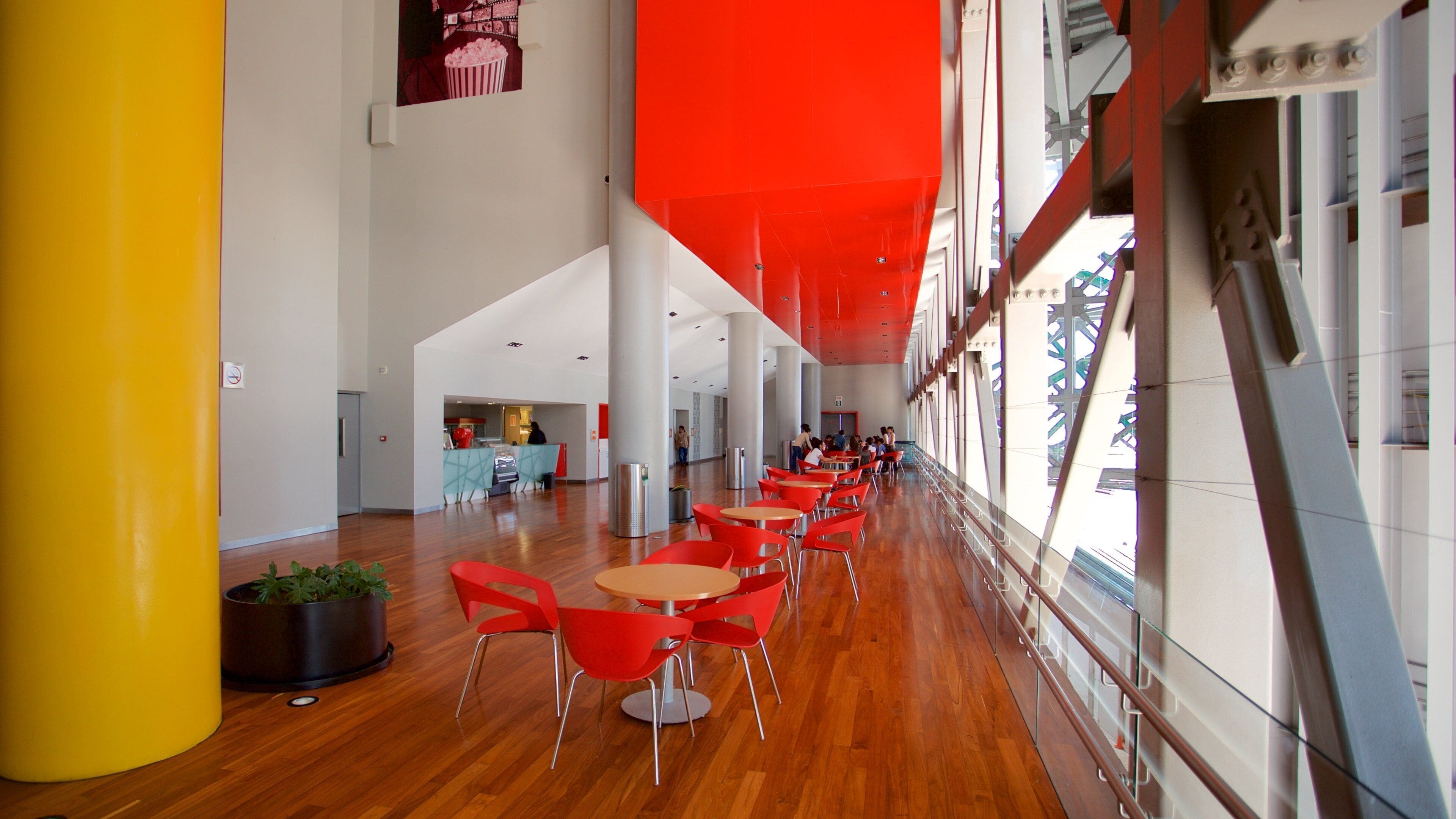 マヤ世界大博物館 どの含み 屋内の眺め