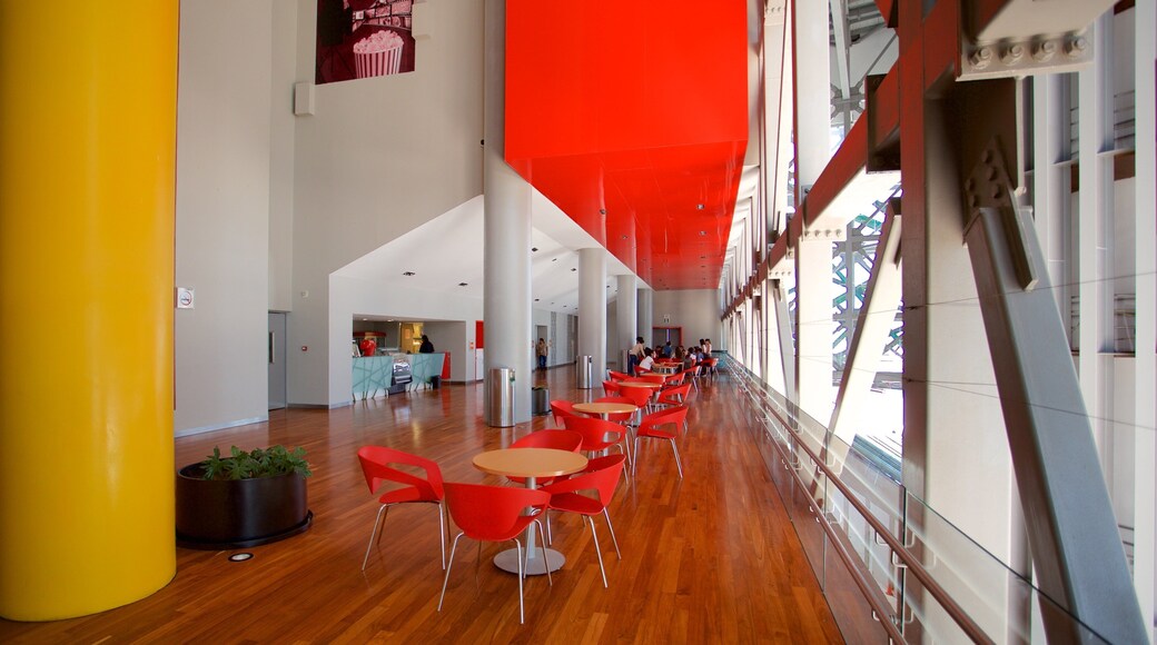 マヤ世界大博物館 どの含み 屋内の眺め