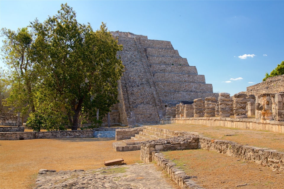 Ancient ruins with stone structures and a large tree in the foreground.