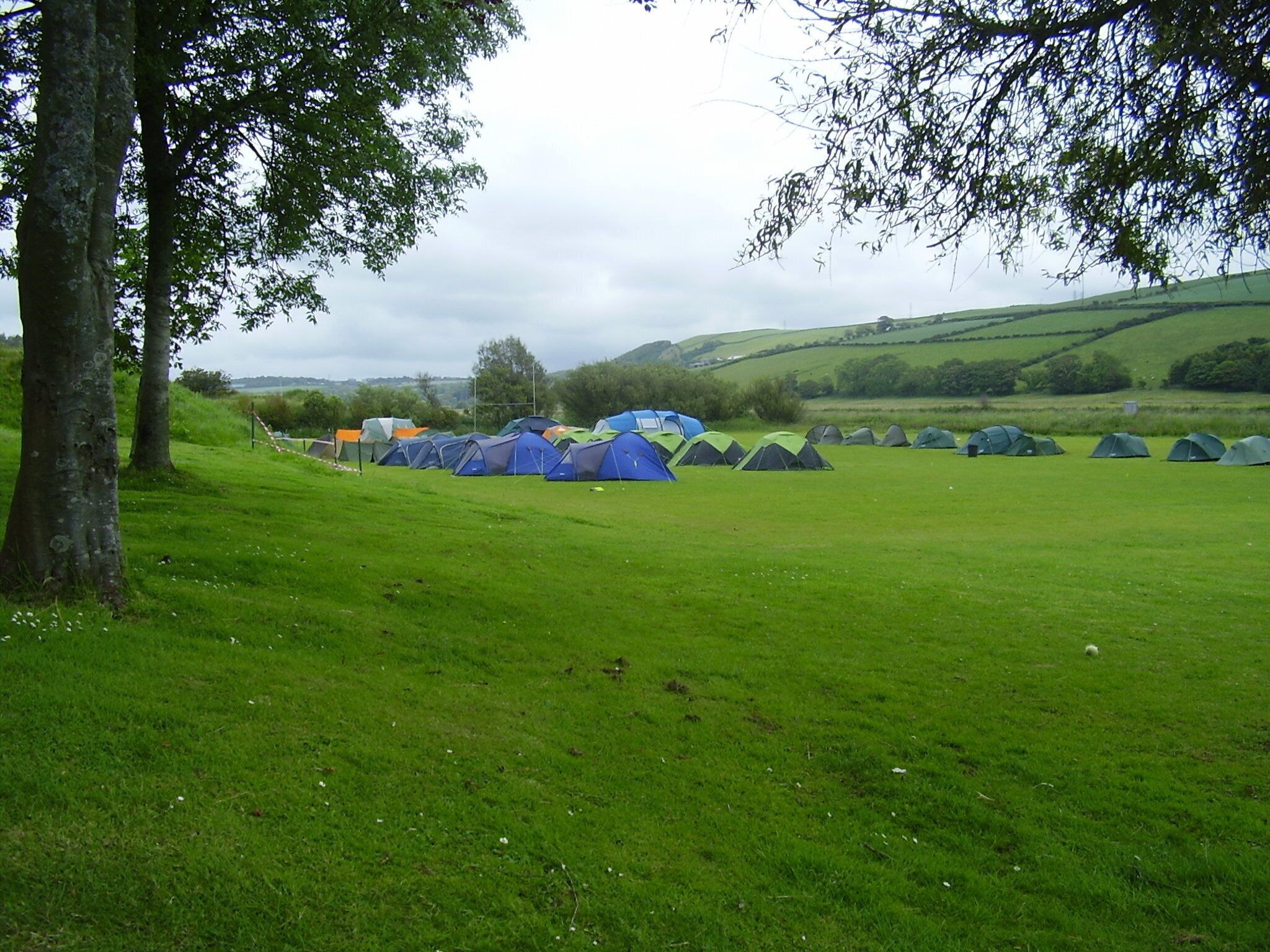 A grassy field with several tents and trees.