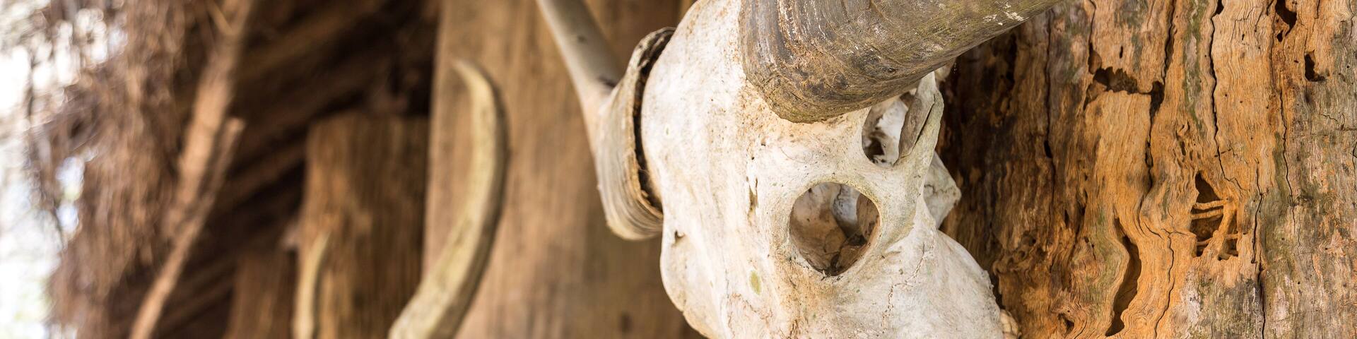 Baan Dam Museum in Chiang Rai