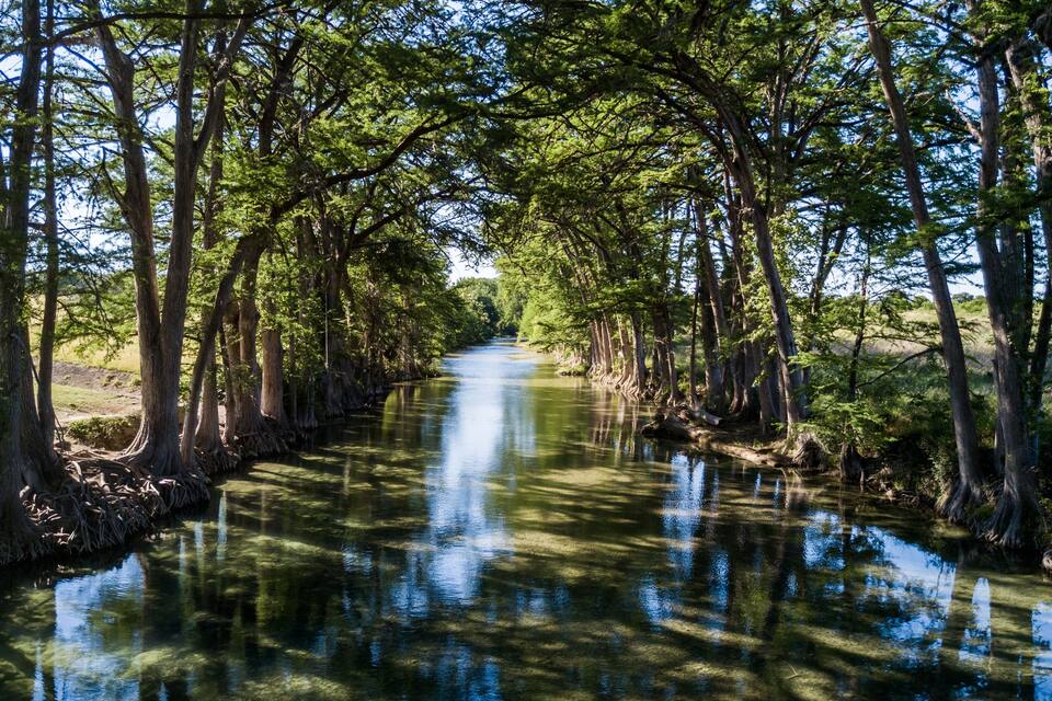 A river flanked by tall trees with dense foliage reflecting in calm waters.