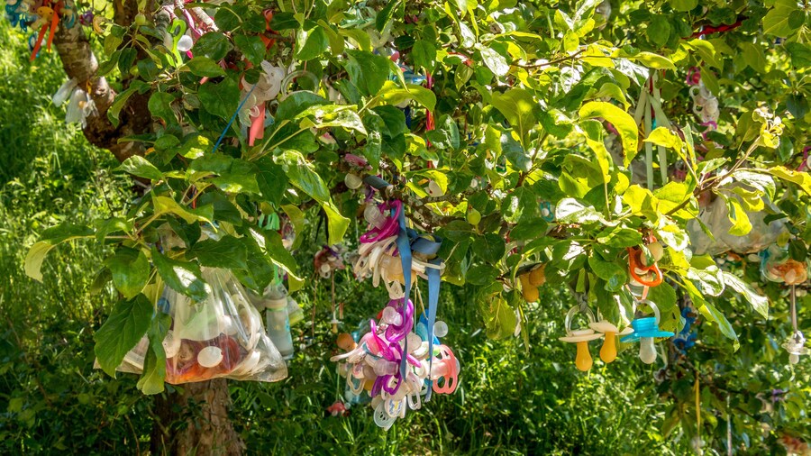 Wood with pacifiers where children hang there pacifiers when they no longer use them.