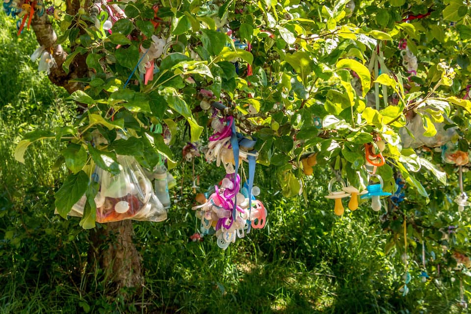 A tree with colorful plastic items hanging from its branches.