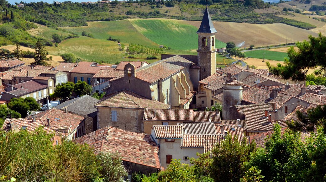 Village of Lautrec in France