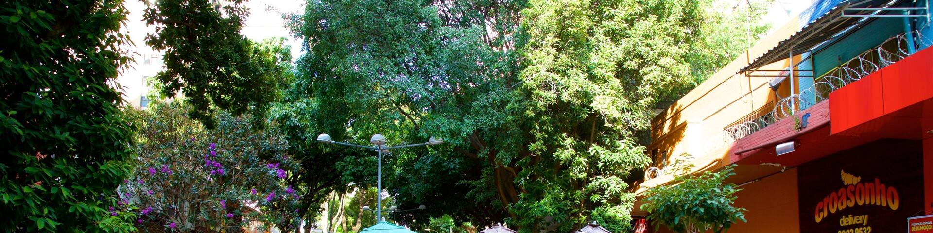 Savassi Square as well as an individual male