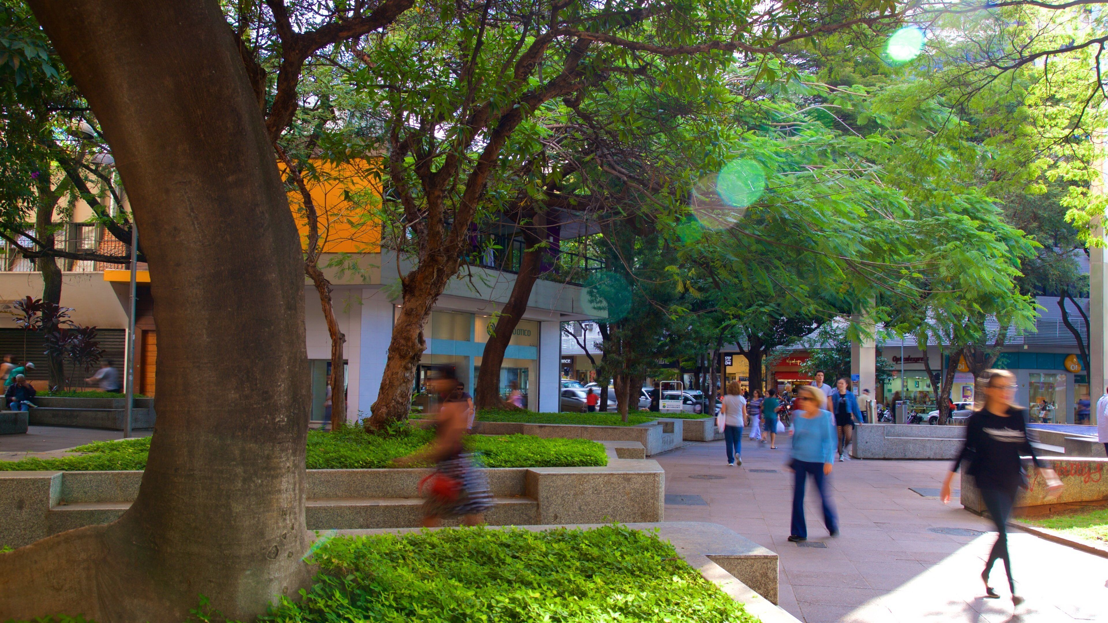 Savassi Square showing a park and street scenes as well as a small group of people