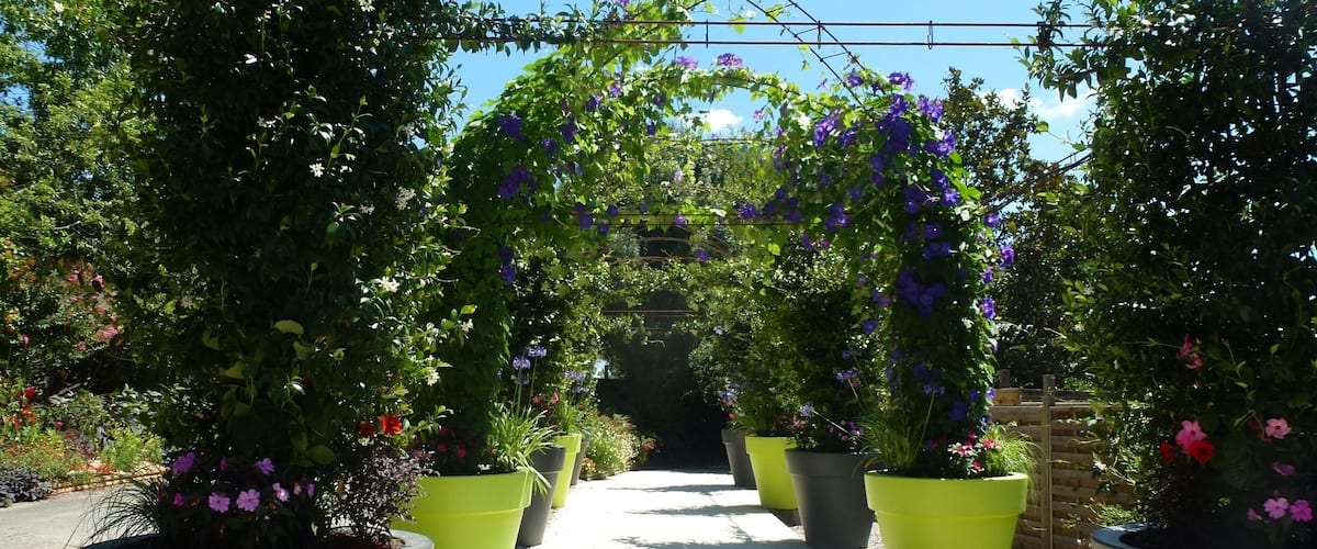 A garden pathway lined with large planters and flowering plants.