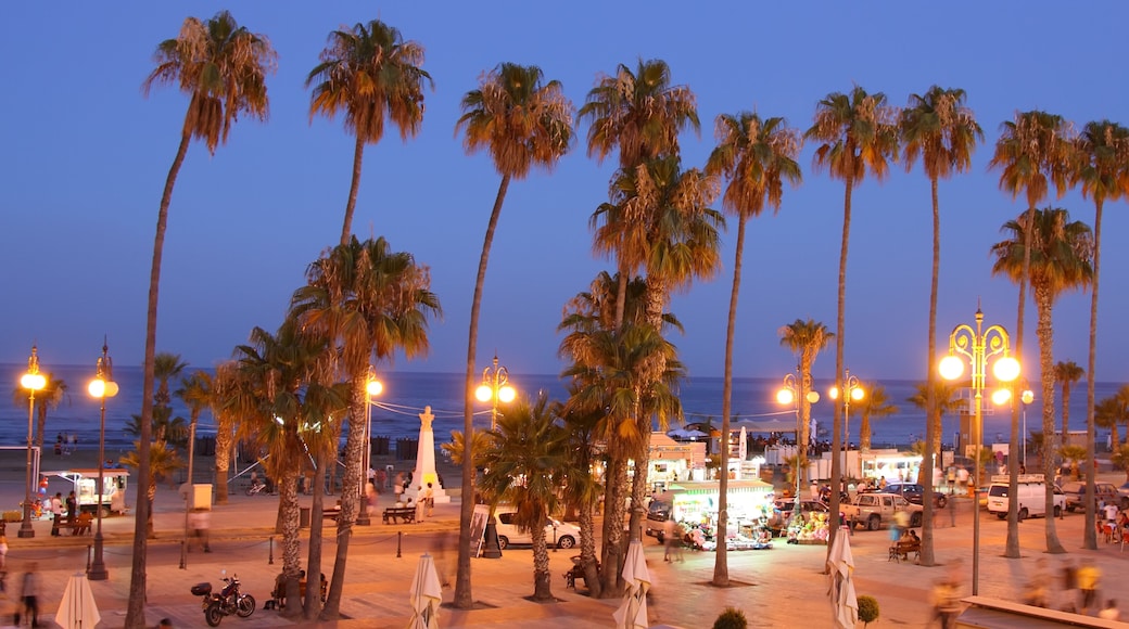 Palm Tree Beach of Larnaca at Dusk