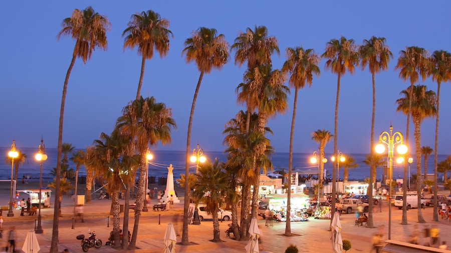 Palm Tree Beach of Larnaca at Dusk