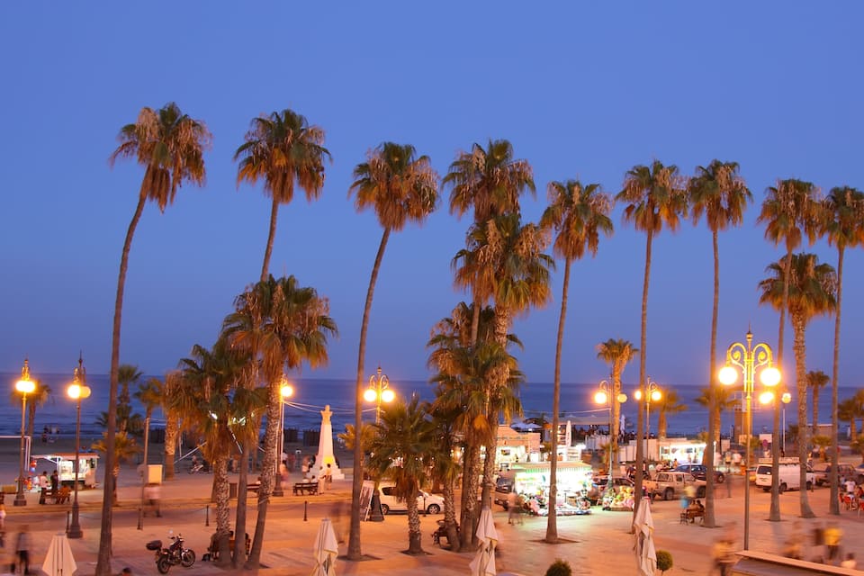 Eine Uferpromenade mit Palmen, Laternen und einer Statue.