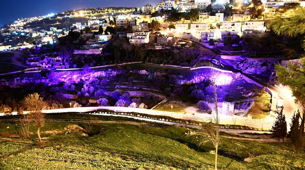Looking down the archaeological site - City of David (עיר דוד in purple) from the Mount Zion. It located south of the Old City of Jerusalem and Temple Mount. For those walking through the City of David at night enjoy an enlightening and inspiring experience in which they witness the ancient city come to life before their very eyes in the Holy Land.
#Israel #Jerusalem #CityOfDavid #MountZion #AboveItAll #nightscape #OnTheRoad #UNESCOWorldHeritageSite