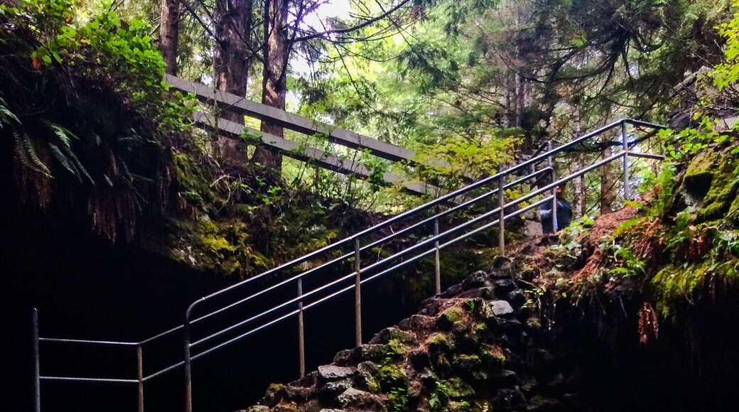 Ape cave is the longest lava tube in North America. It's full of boulders to scramble over and at 3 miles long with an average temp of 42 degrees this is one cool lava tube to hike through. #MountStHelens #ApeCave #LavaTubes #GetOutdoors