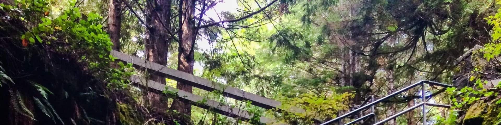 Ape cave is the longest lava tube in North America. It's full of boulders to scramble over and at 3 miles long with an average temp of 42 degrees this is one cool lava tube to hike through. #MountStHelens #ApeCave #LavaTubes #GetOutdoors