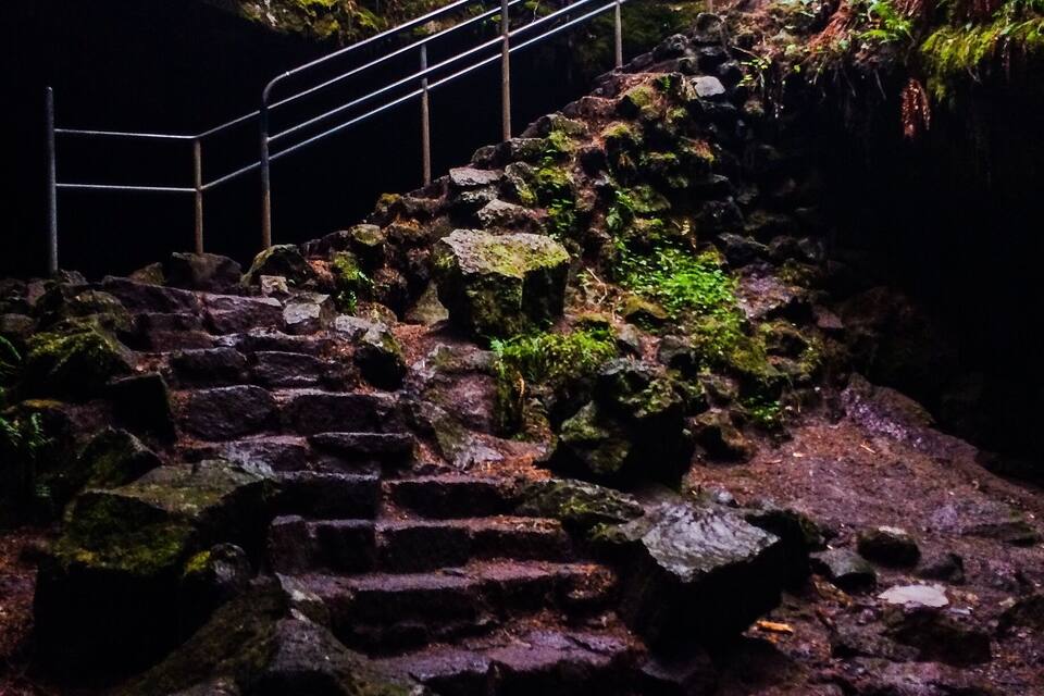 A stone staircase leading up a forested hill with metal railings.