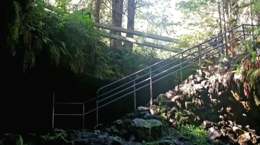 Ape caves is very fun to explore..one of the longest lava tubes in North America