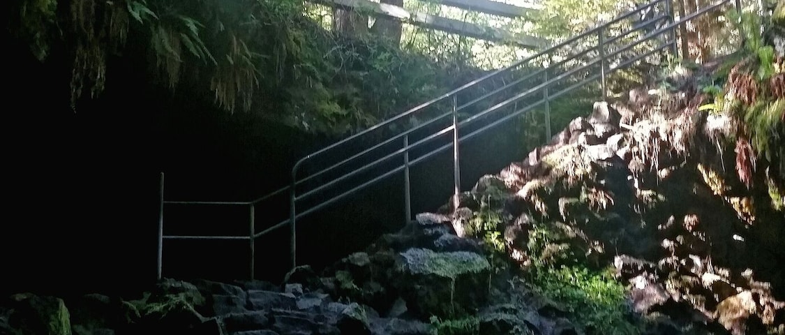 Uma escadaria de pedra serpenteia por uma encosta arborizada, com uma grade de metal.
