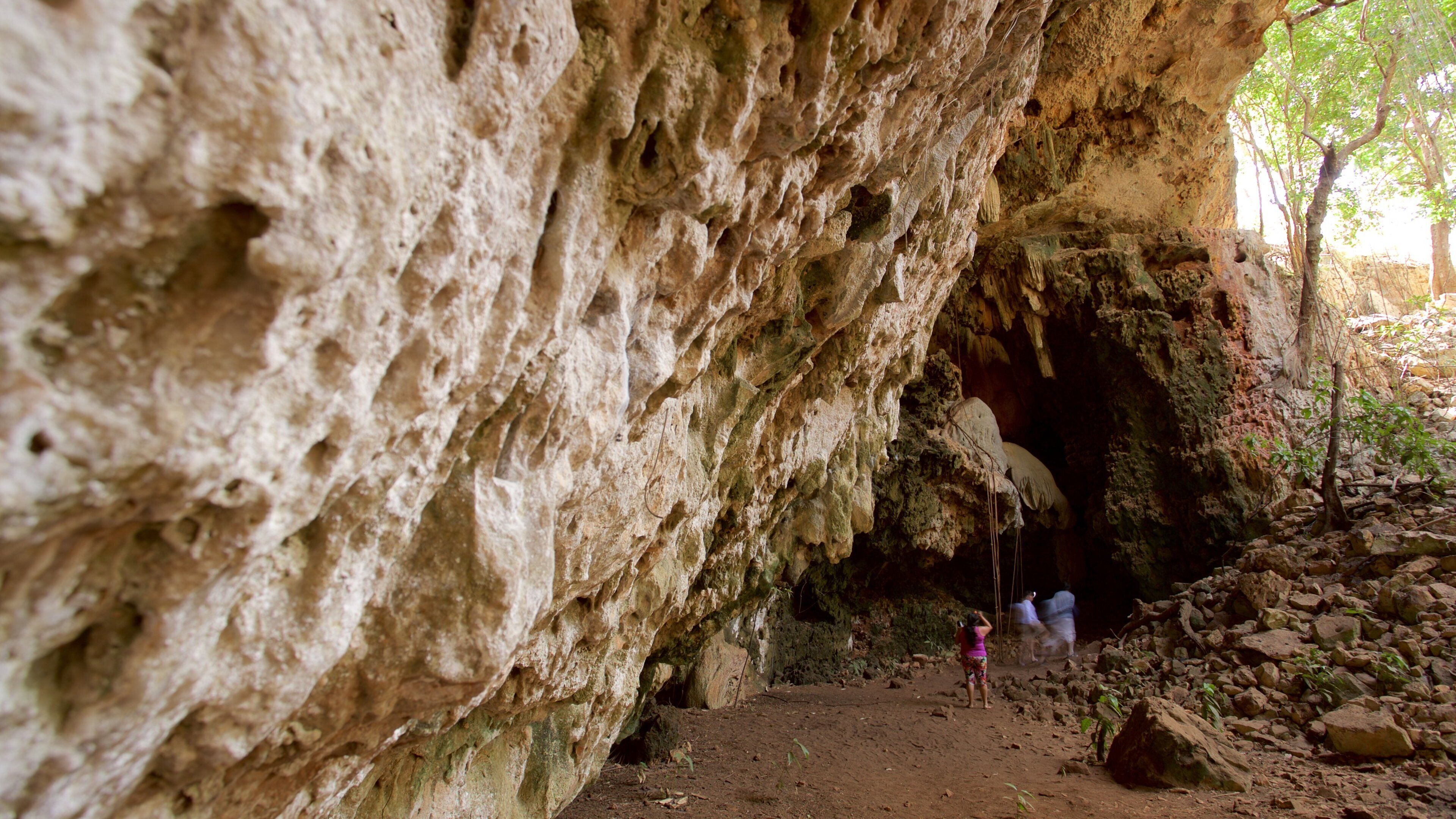 칼세토크 동굴 이 포함 계곡 또는 협곡 뿐만 아니라 소규모 사람들