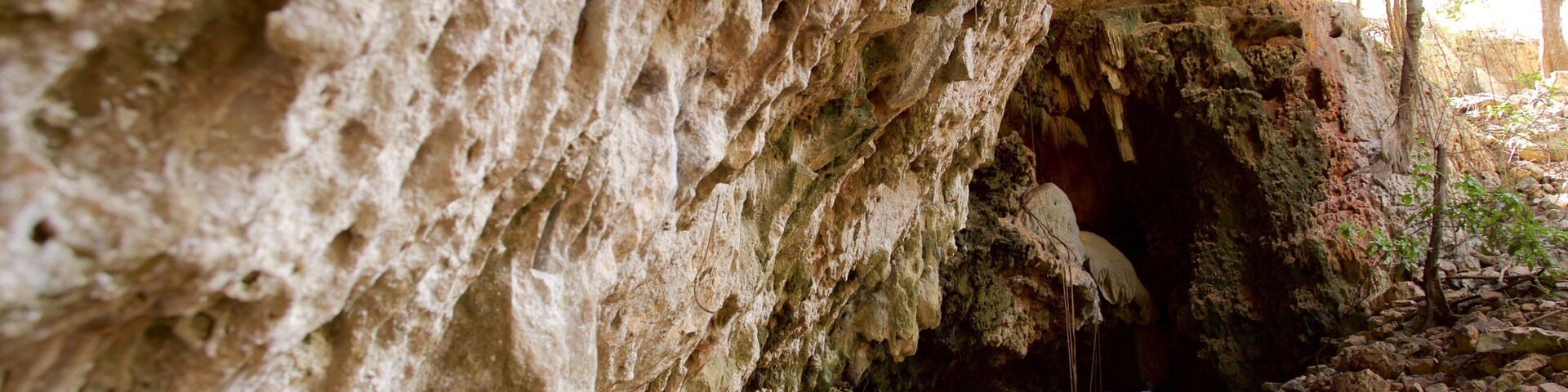 A cave entrance with rough rock walls and a dirt path leading inside.