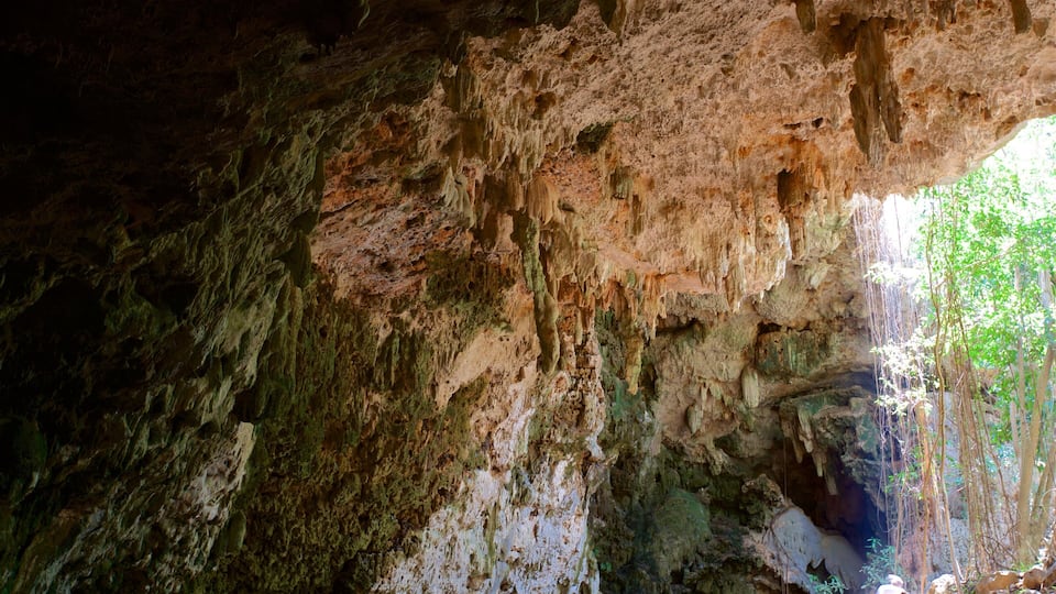 A cave with stalactites and stalagmites, and a view of the outside vegetation.