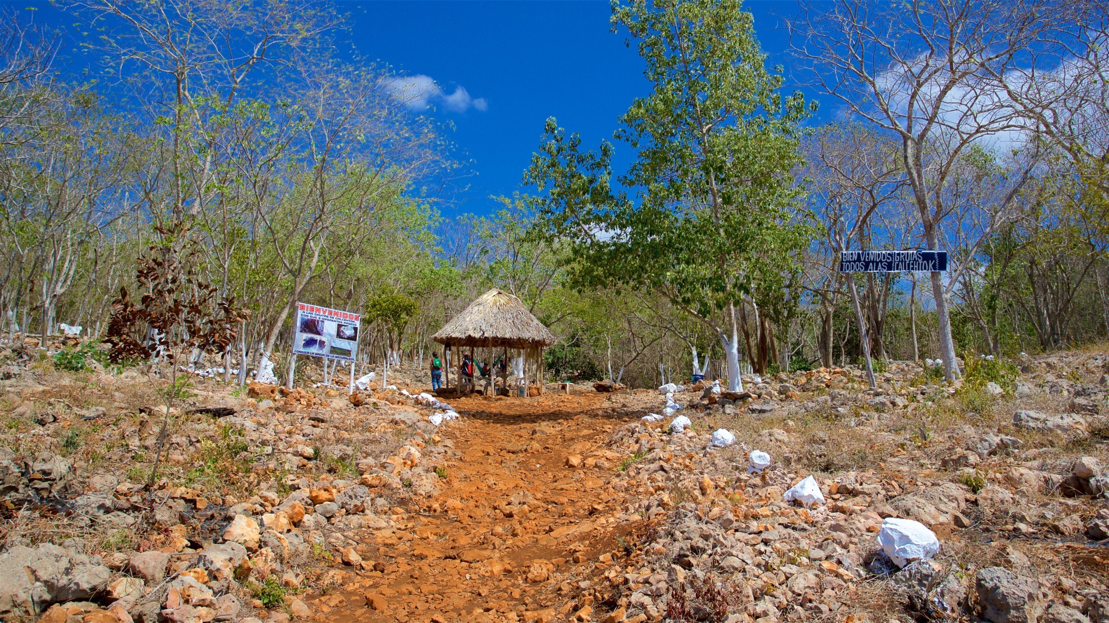 A rocky path leading to a thatched-roof hut surrounded by trees and a signboard.