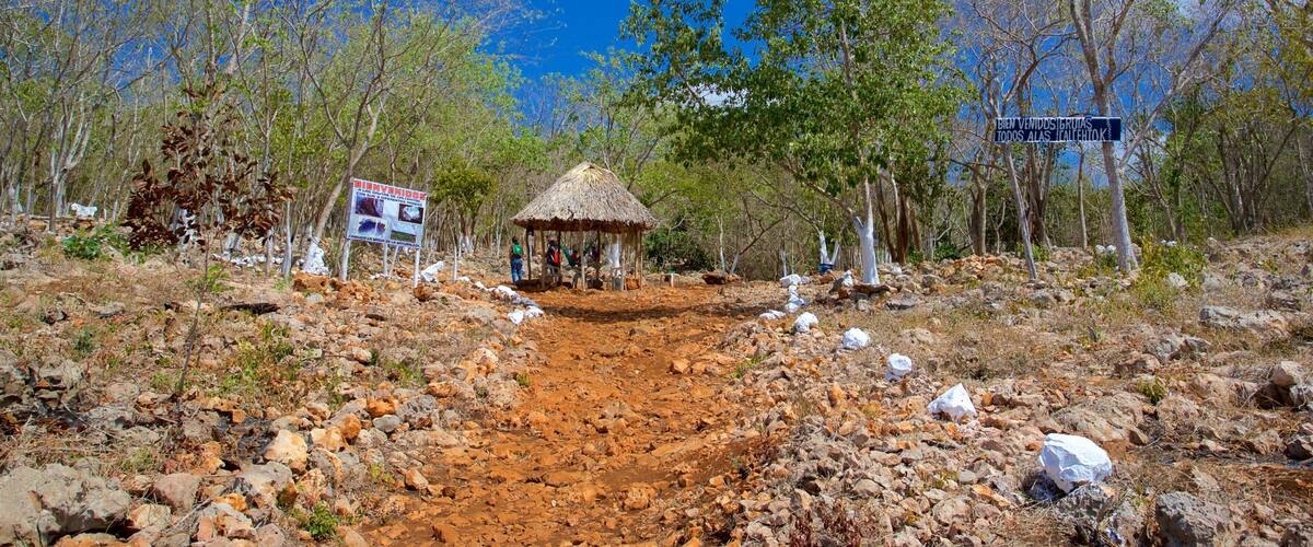 A rocky path leading to a thatched-roof hut surrounded by trees and a signboard.