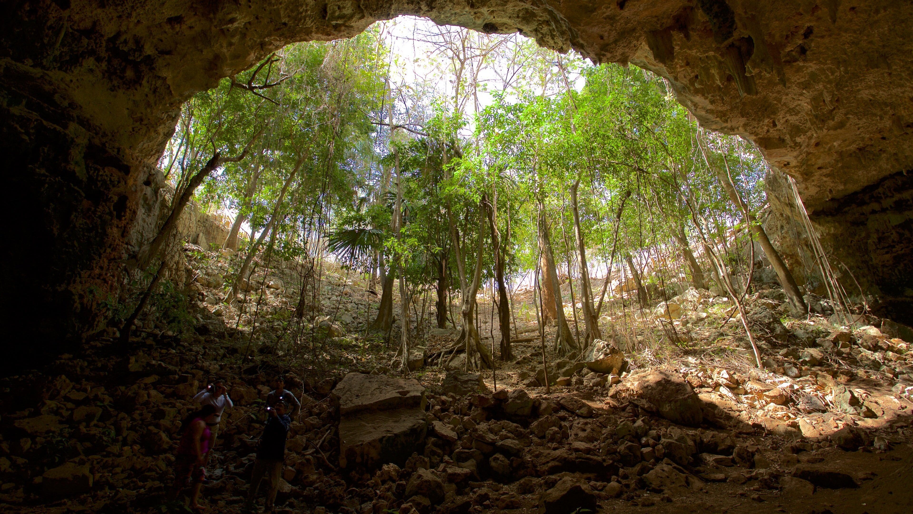 Calcehtok Caves featuring caves and forest scenes
