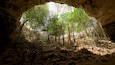 Calcehtok Caves featuring caves and forest scenes