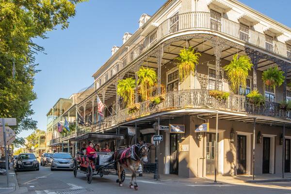 Royal Street featuring land animals, horseriding and heritage elements
