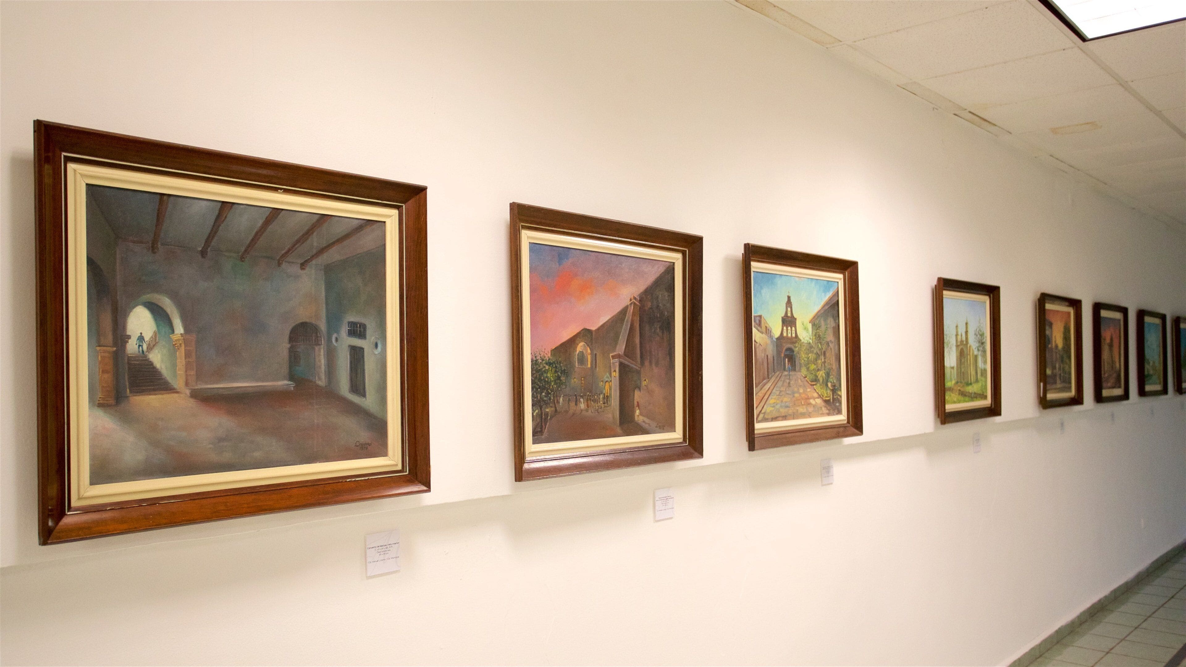 梅里達市立博物館 设有 藝術 和 內部景觀