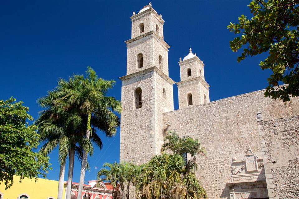 A historic stone building with two bell towers and a palm tree in the foreground.