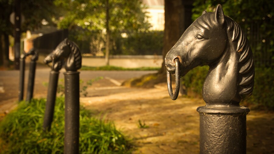 Antique hitching posts on Magazine Street in Uptown New Orleans, Louisiana